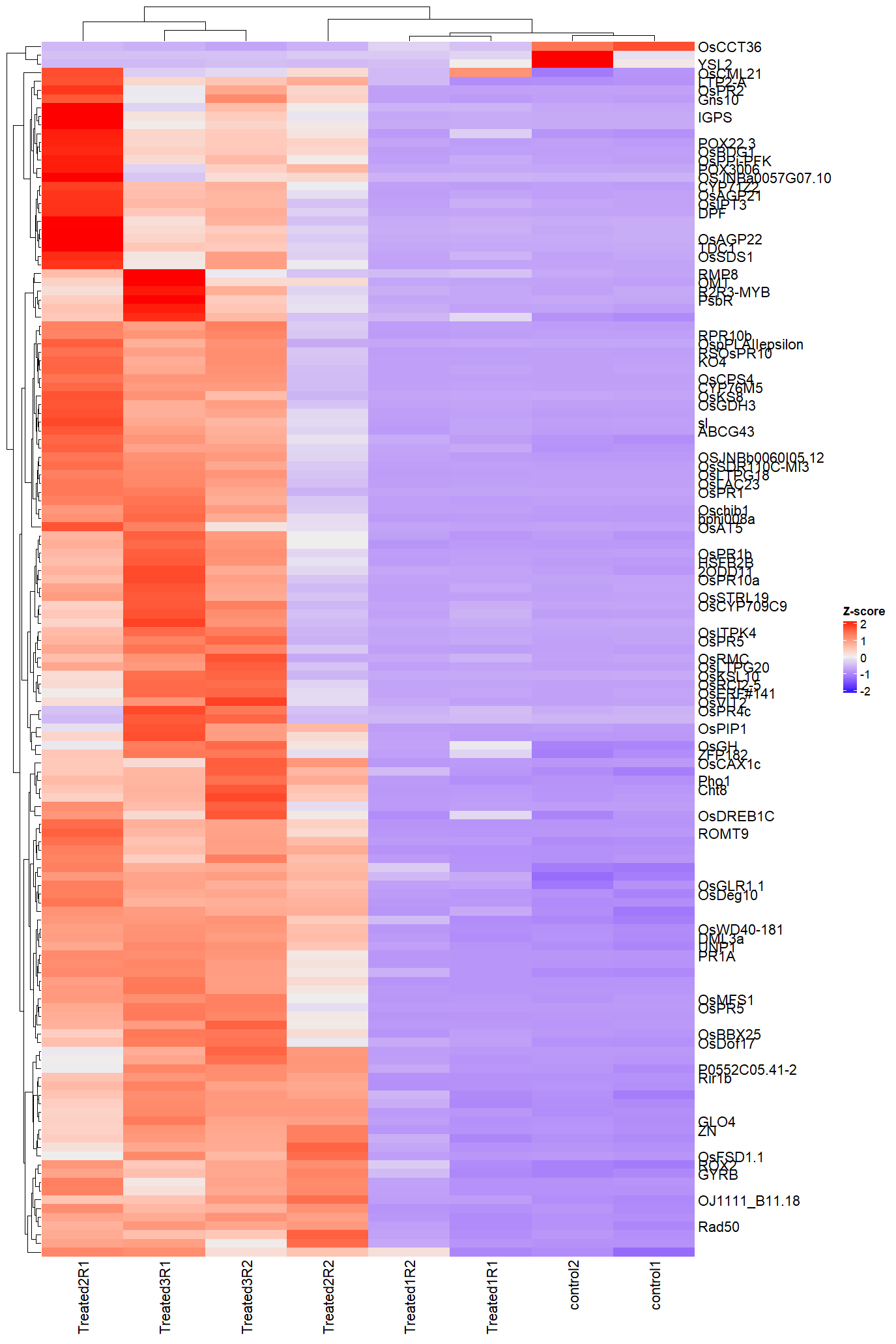 Heatmap of top DEGs
